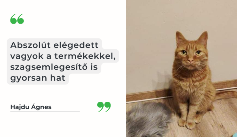 Szagsemlegesítés és fertőtlenítés háziállat mellett 6 macskavaros 1080 628 hajdu agnes