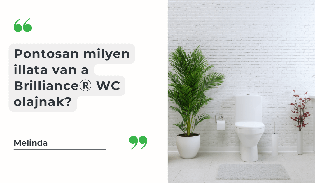 tisztitoszer-hu-Brilliance® WC olaj illata 1 tisztitoszer-hu-brilliance wc olaj gumibogyo illata 1080 628 cikk opt