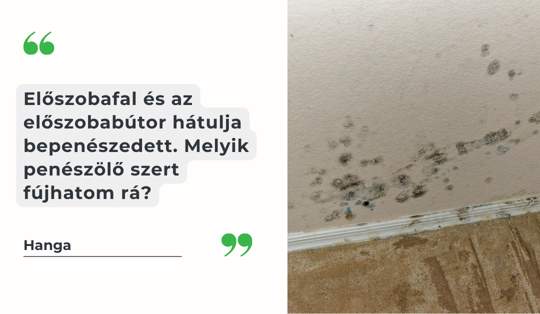 tisztitoszer-hu-A penészfolt - azon kívül, hogy csúfítja a helyiséget - az egészségre is ártalmas 1 tisztitoszer-hu-peneszes fal tisztitas 1080 628 cikk