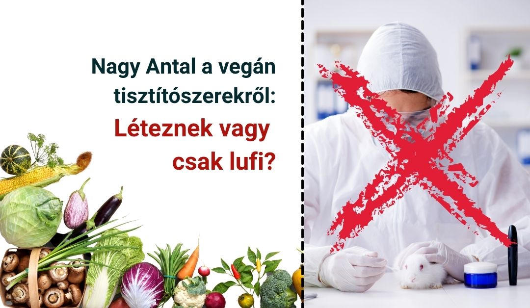 tisztitoszer-hu-Nagy Antal a vegán tisztítószerekről: léteznek vagy csak lufi? 1 tisztitoszer-hu-vegan tisztitoszer