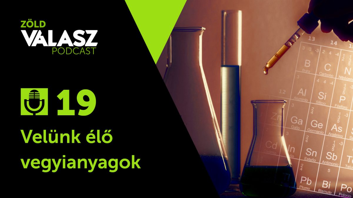tisztitoszer-hu-Környezetbarát tisztítószerek és a tudatos vásárlás - Zöld válasz podcast 1 tisztitoszer-hu-zv vegyianyagok cover 1200x675 1